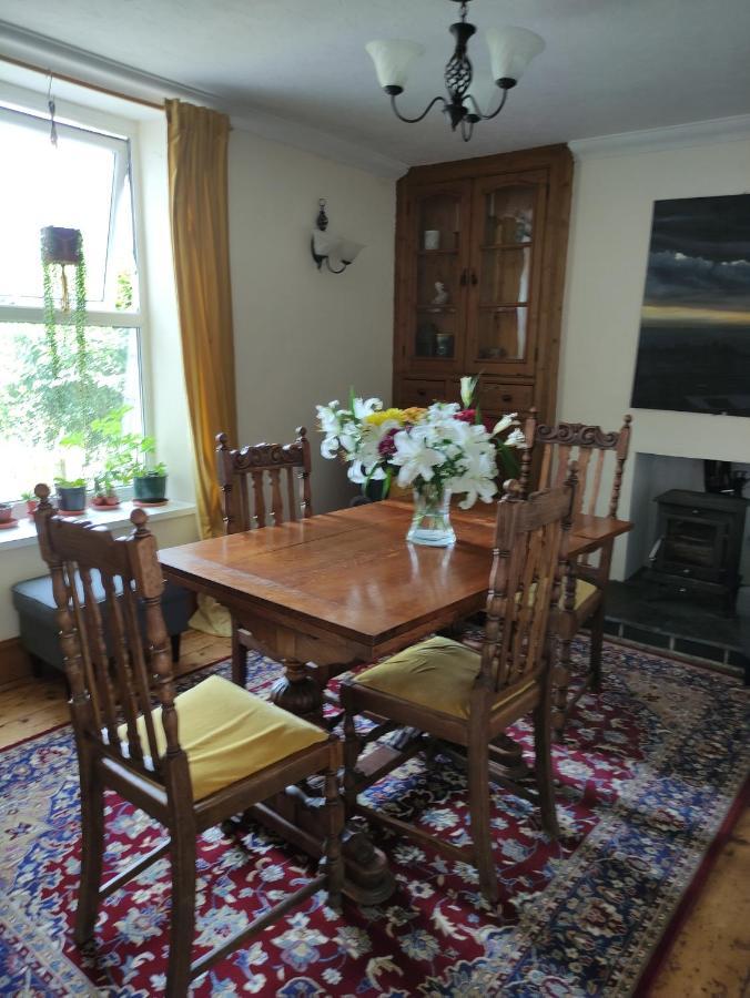 Adail Cottage Aberystwyth Eksteriør bilde