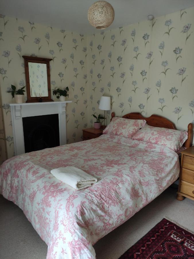 Adail Cottage Aberystwyth Eksteriør bilde
