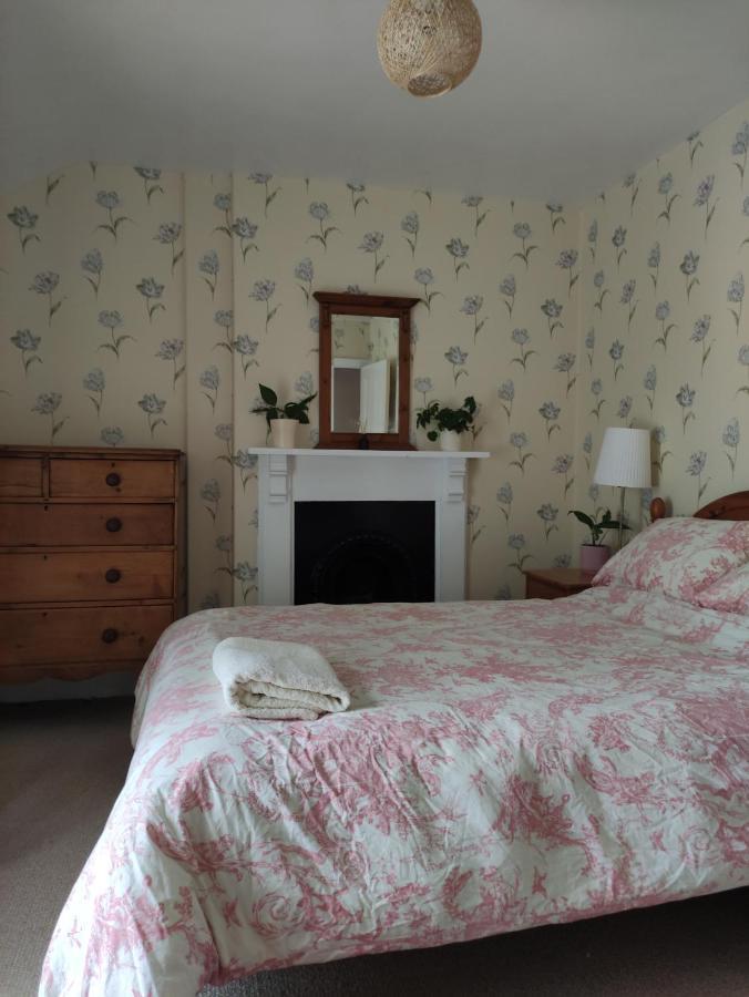 Adail Cottage Aberystwyth Eksteriør bilde